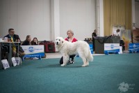 /album/en-fotogaleria/17800410-1497682820273153-4230738495990415150-n-1-jpg1/